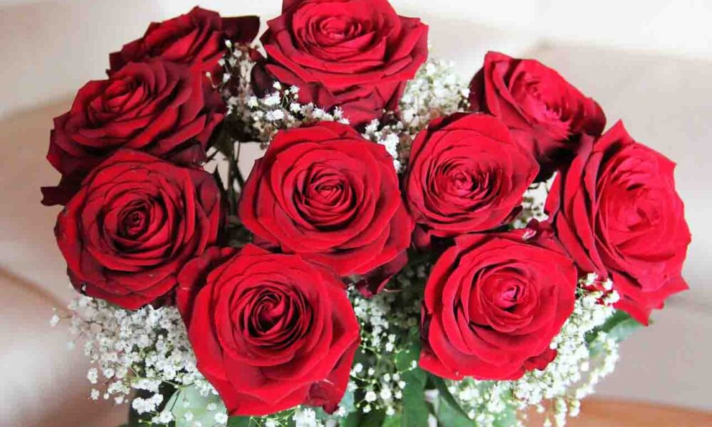 Ramos de rosas rojas: el símbolo del amor eterno en San Valentín